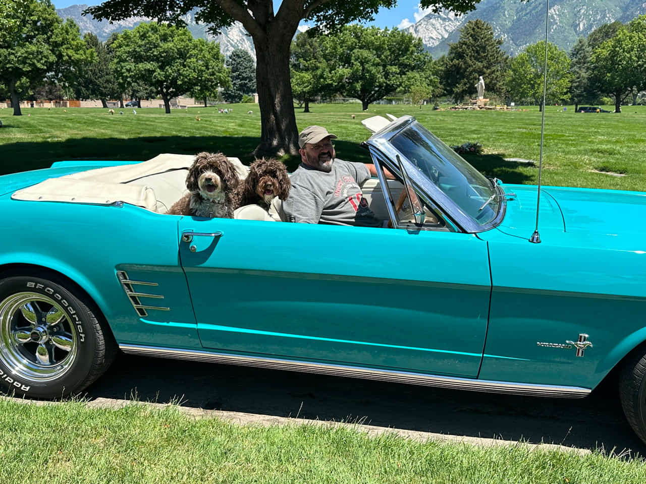 Car Preview