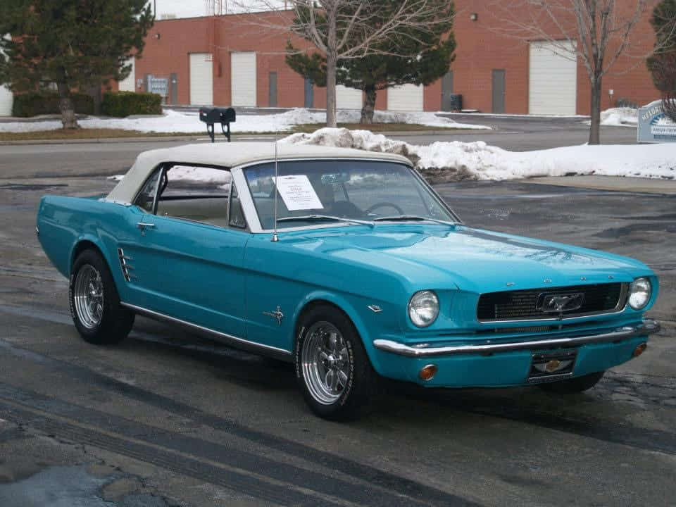 Car Preview