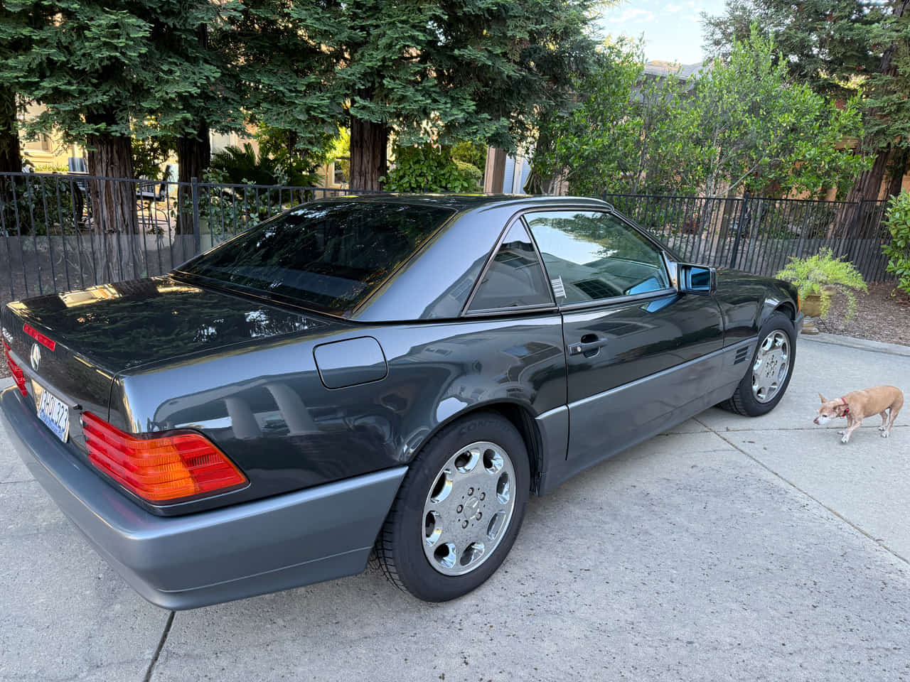 Car Preview