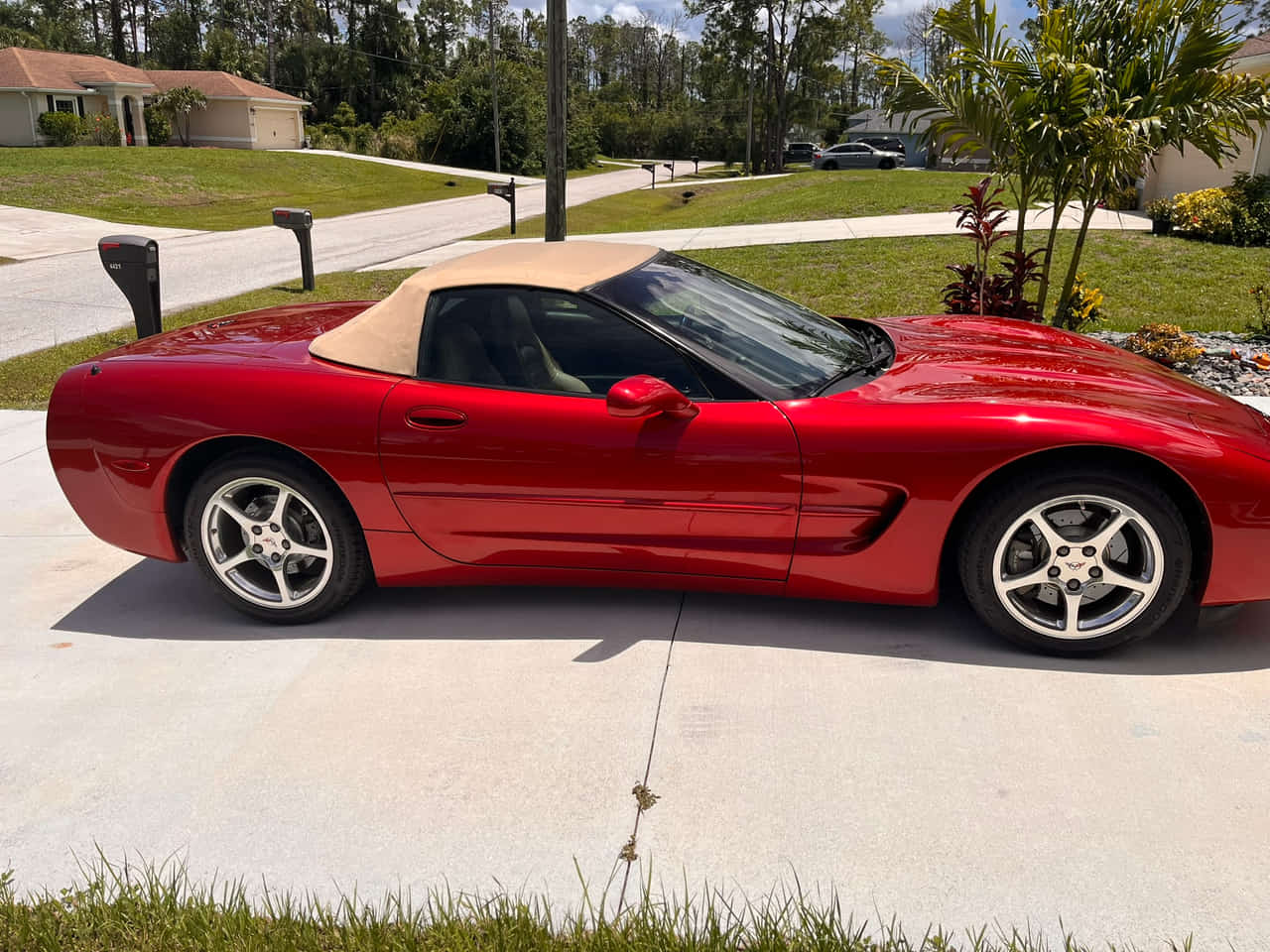 Car Preview