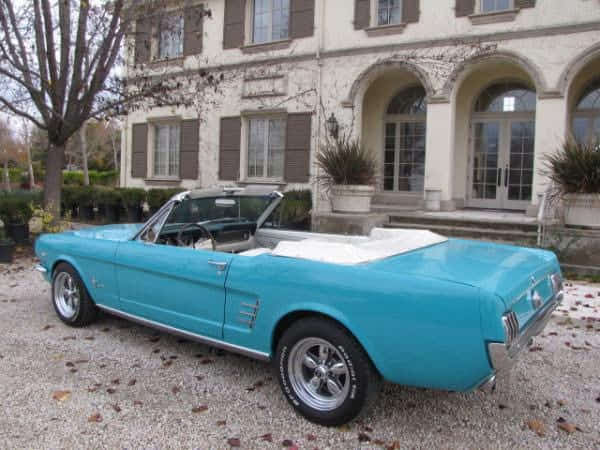 Car Preview