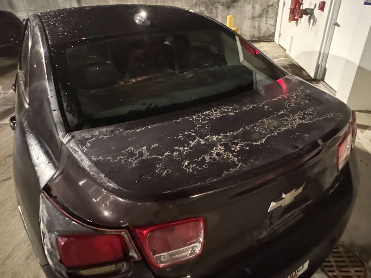 Car Preview