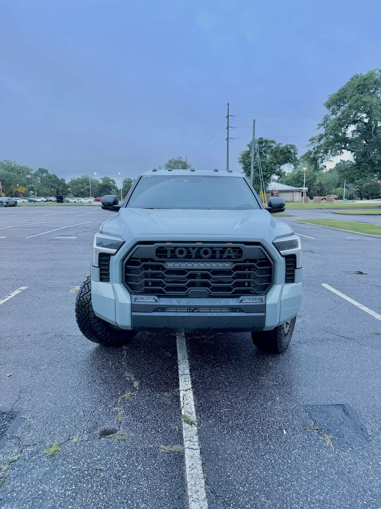 Car Preview