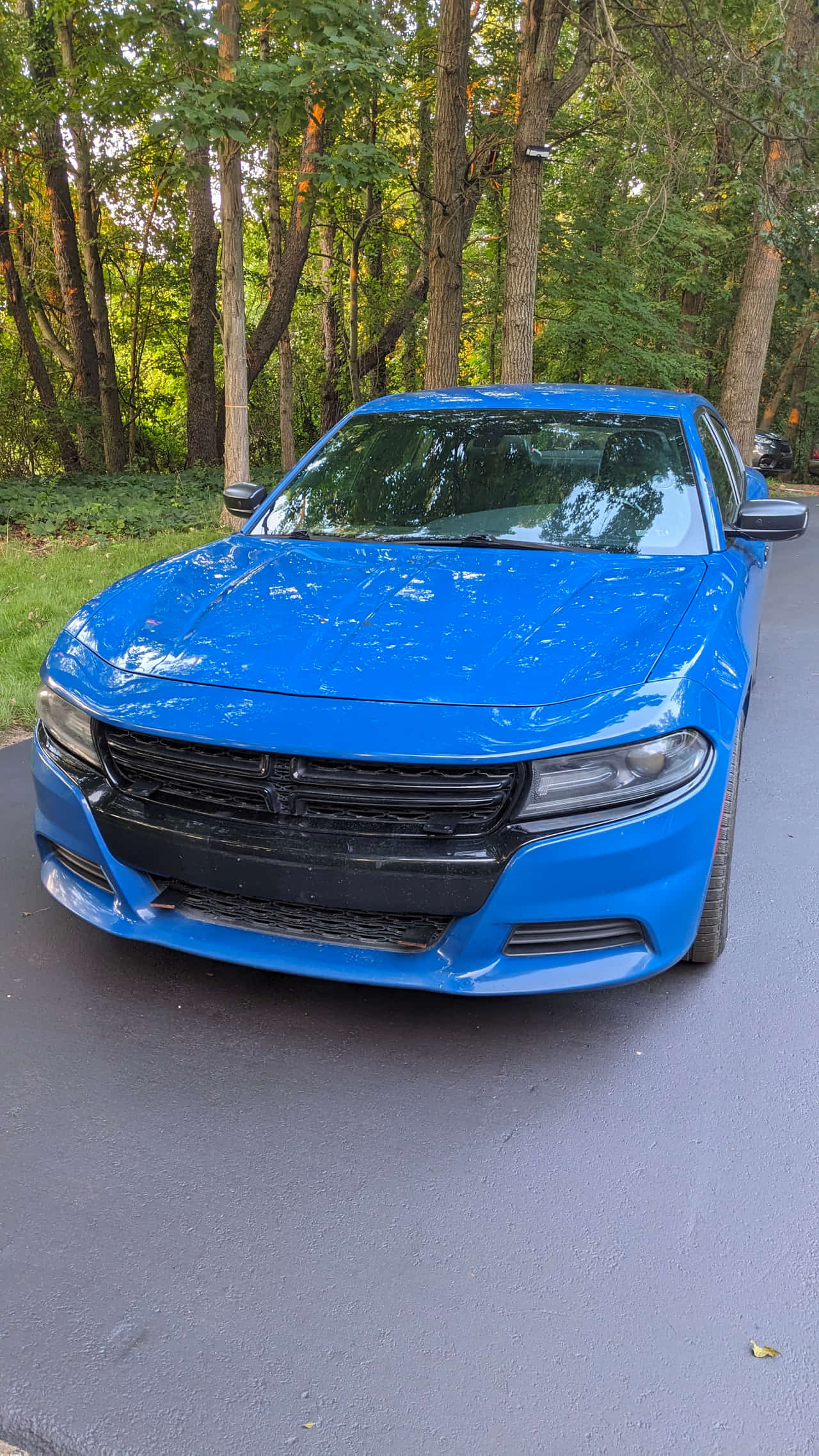 Car Preview