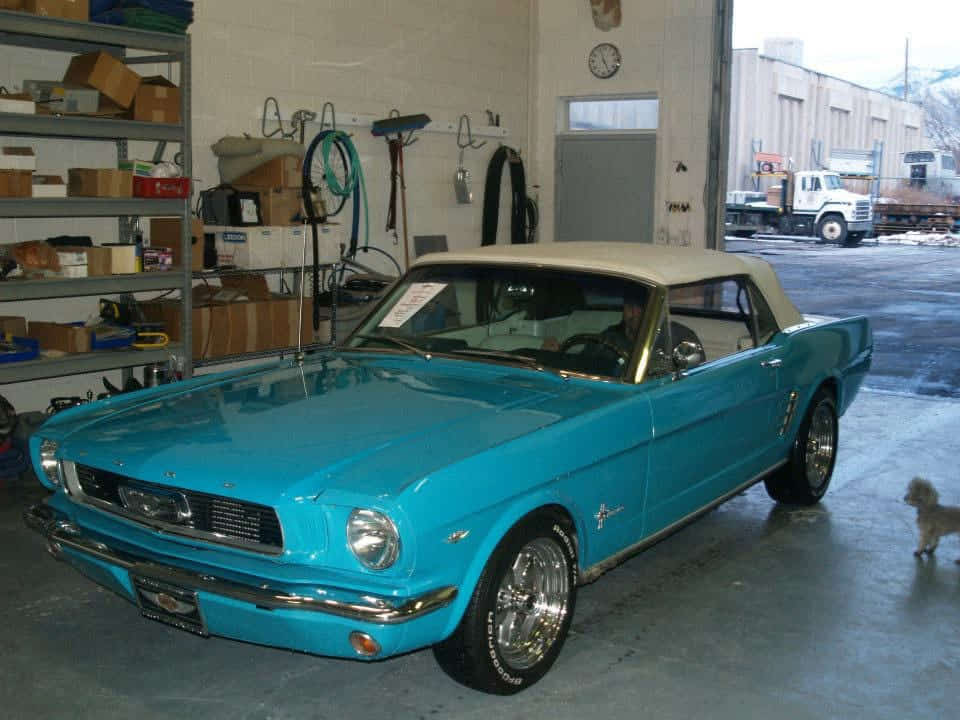 Car Preview