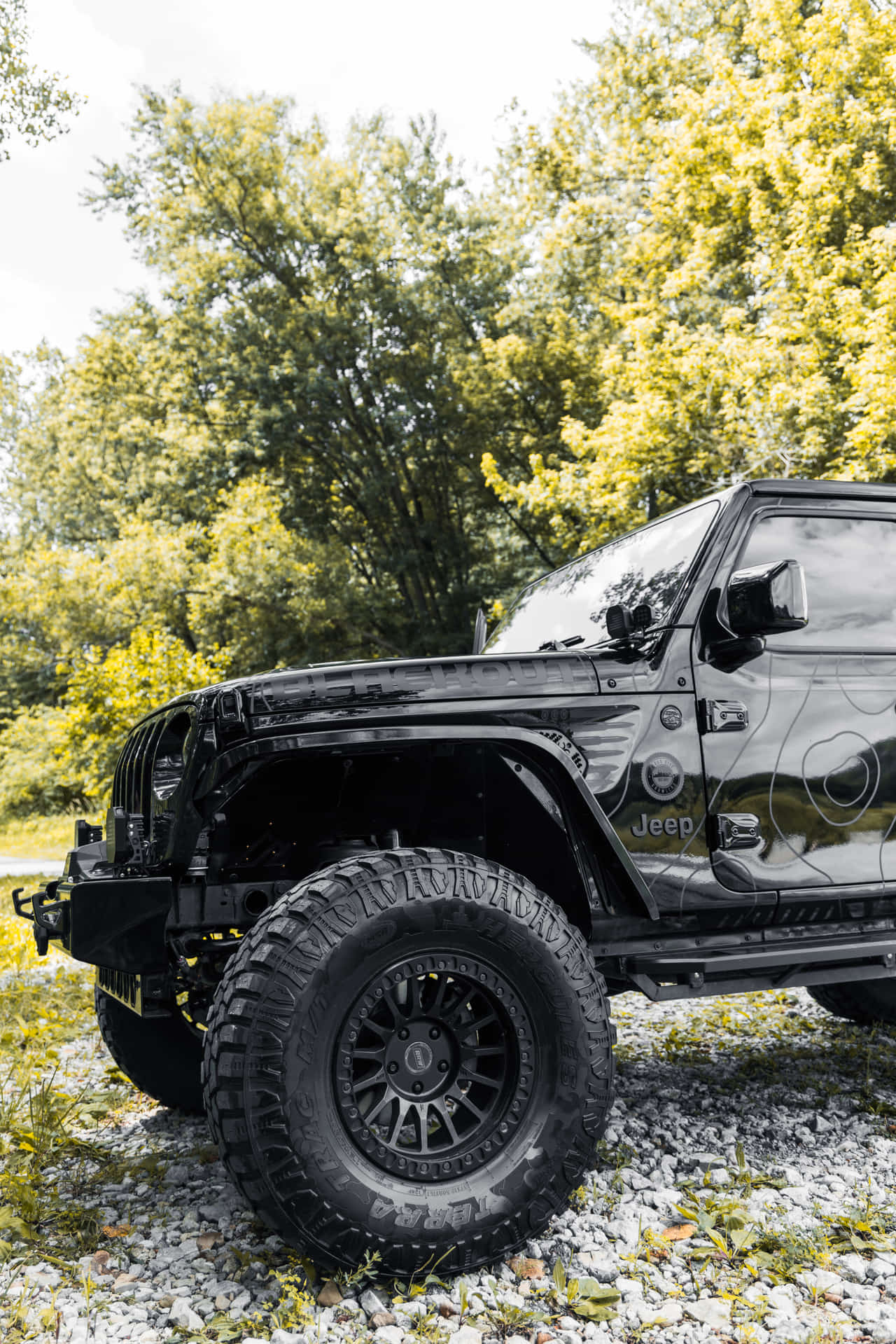 Car Preview